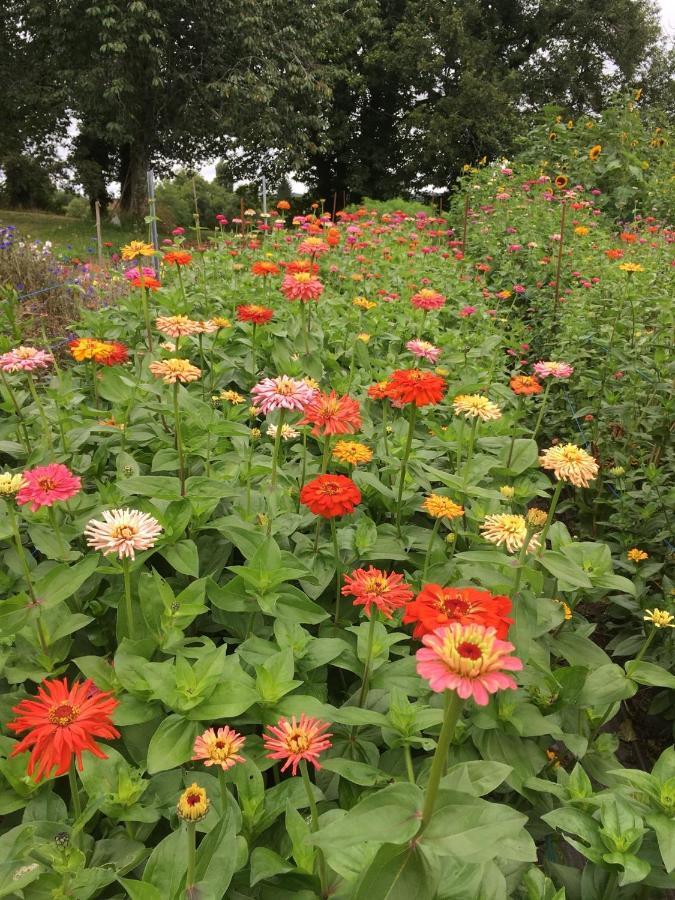 Gite Fleurs D'Esse Hotel Saint-Paul-la-Roche Bagian luar foto