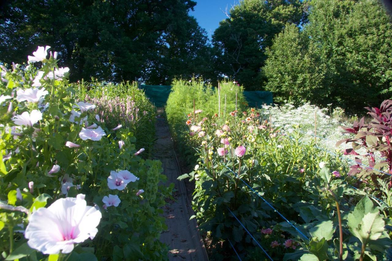 Gite Fleurs D'Esse Hotel Saint-Paul-la-Roche Bagian luar foto